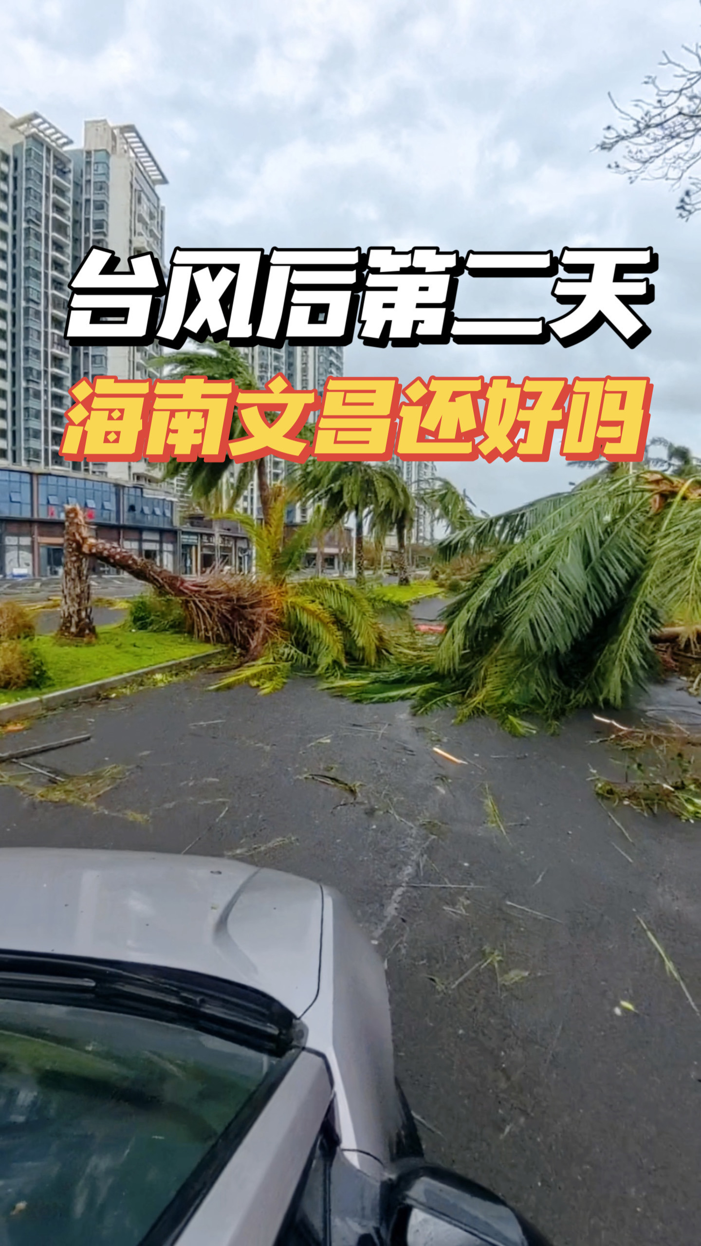 关于海南风暴备受关注,潜力无限的信息 关于海南风暴备受关注,潜力无限的信息