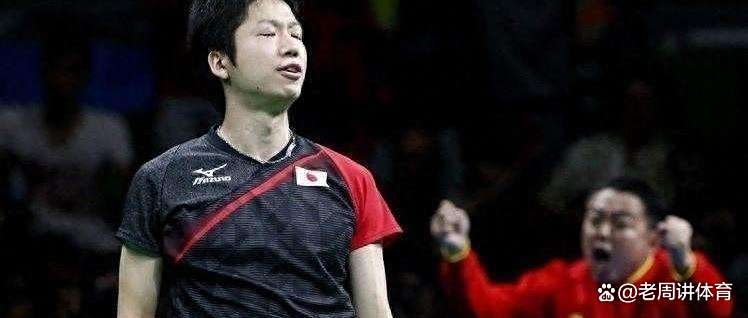 开云体育app-日本乒乓球队力克中国乒乓球队，水谷隼绝境逆转的简单介绍