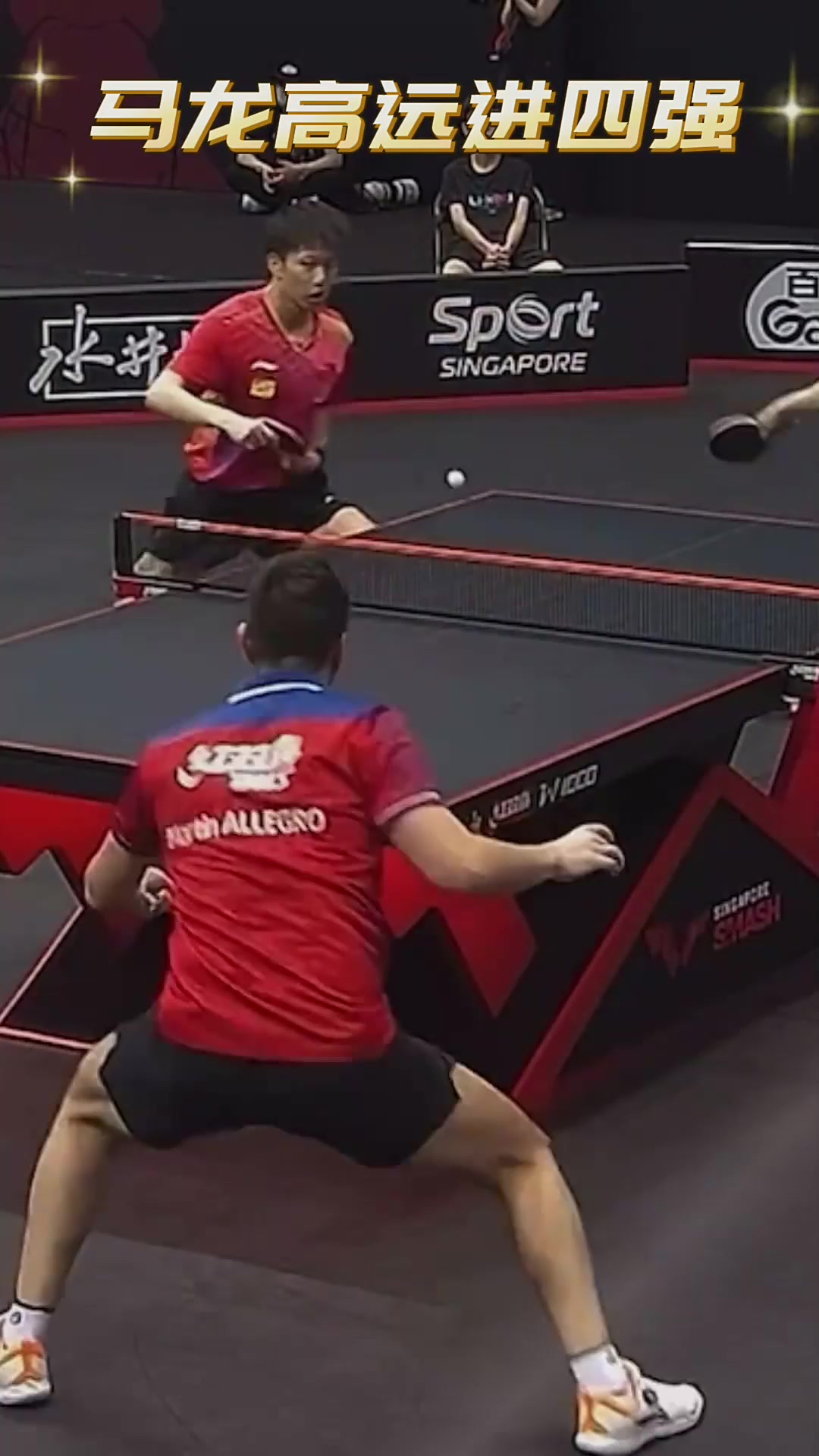 关于英国乒乓球队碾压比利时乒乓球队，马龙爆发神勇的信息