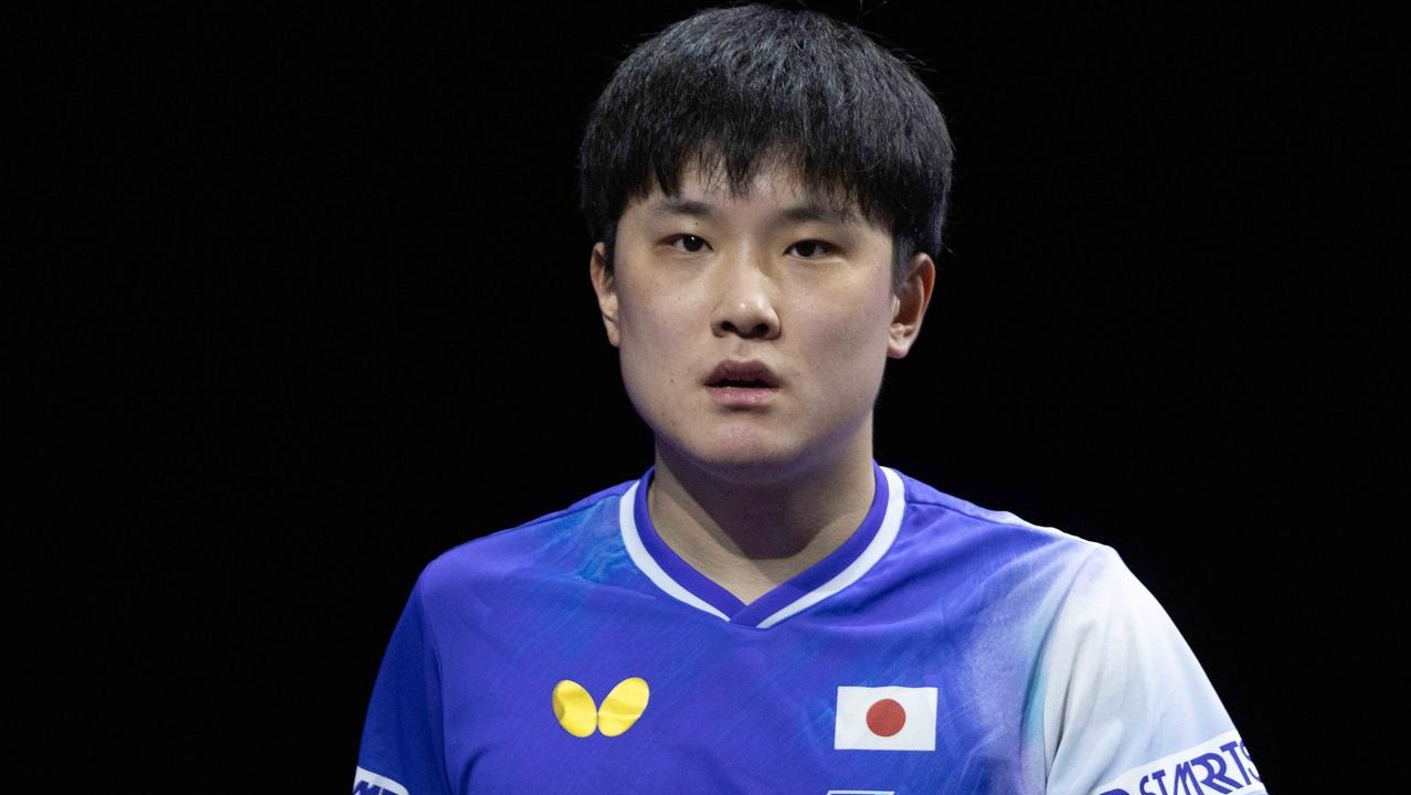 关于瑞典乒乓球队鏖战韩国乒乓球队,张本智和绝境逆转的信息 关于瑞典乒乓球队鏖战韩国乒乓球队,张本智和绝境逆转的信息