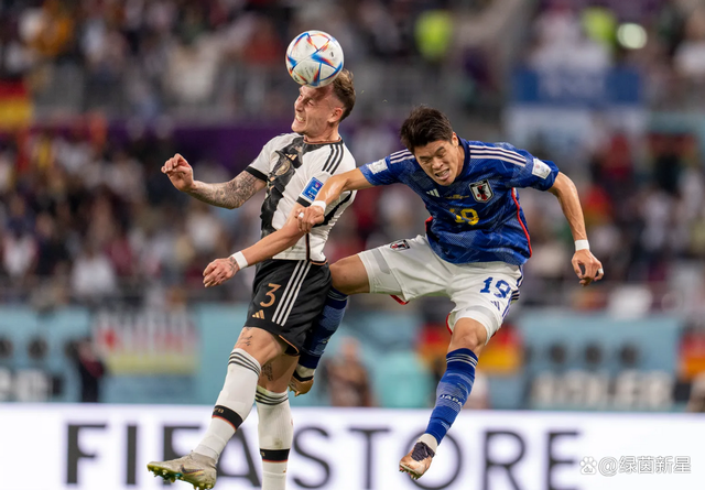 德国队逆转法国队，辛杜高光表现的简单介绍