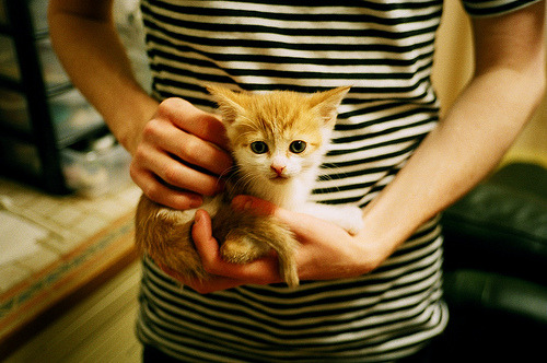 年度焦点之战之夜,恩比德贡献制胜表现