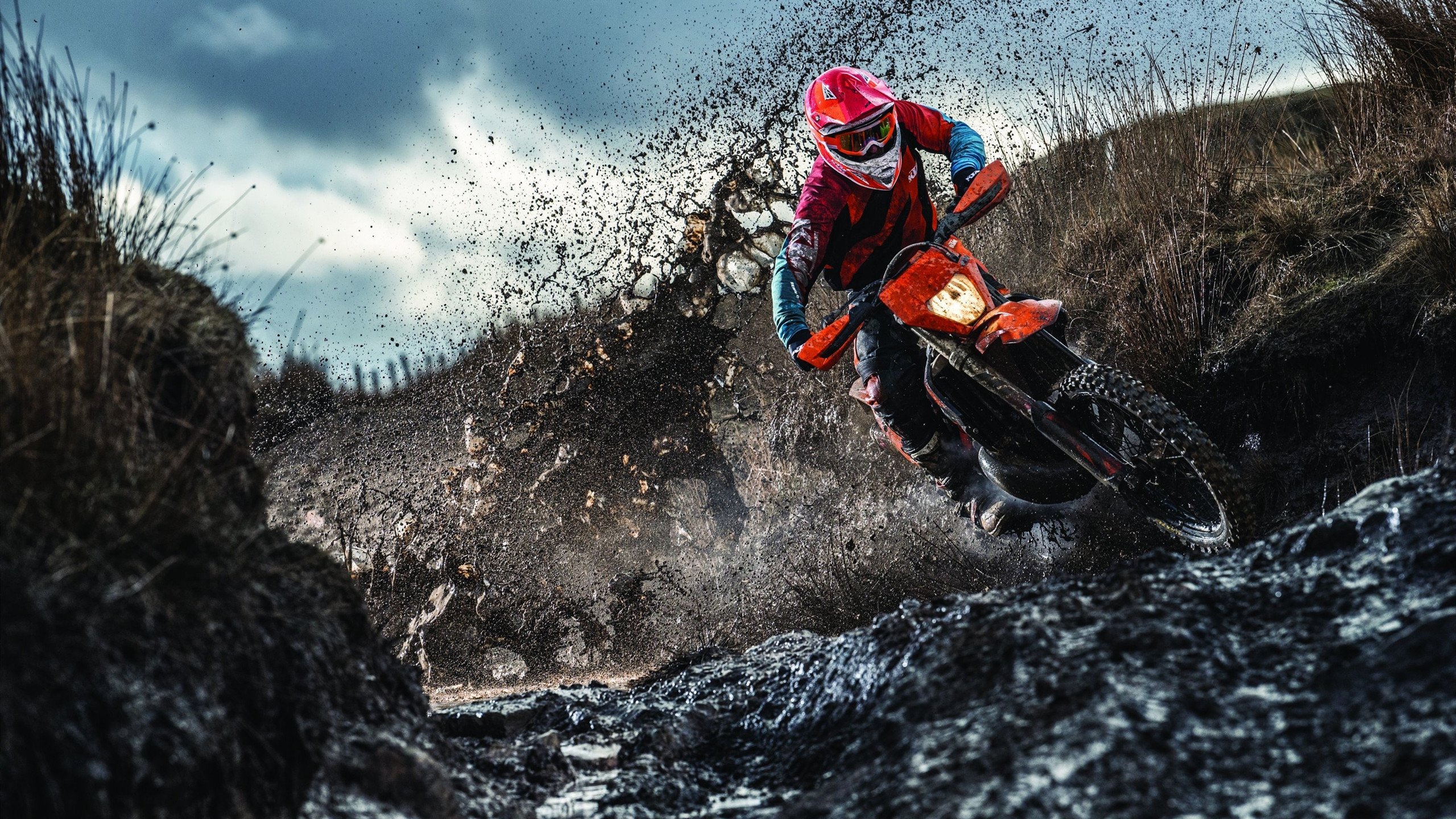 奥利维耶的抉择,法国封锁荷兰背后的关键先生